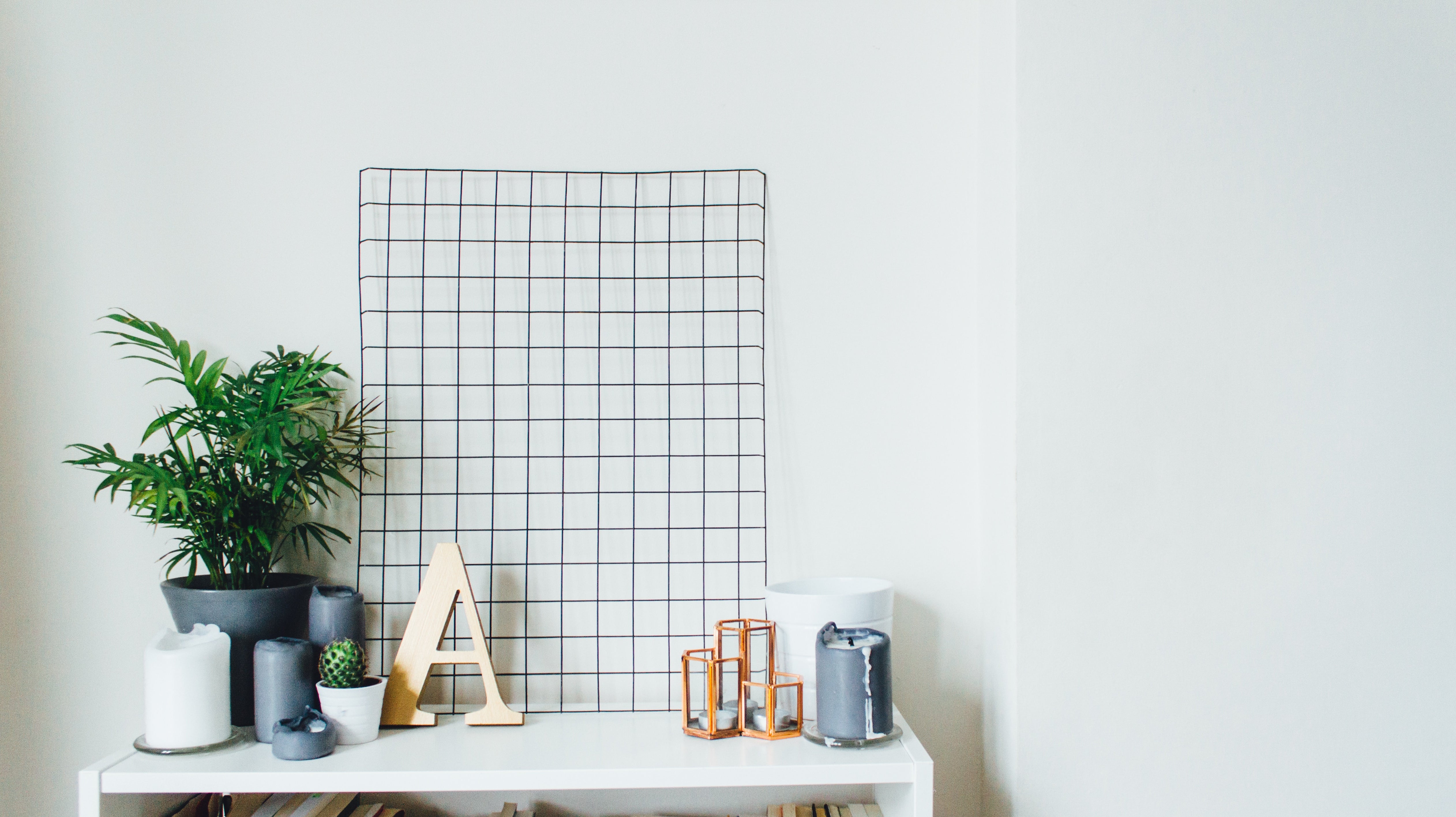 Why you should become a plant person